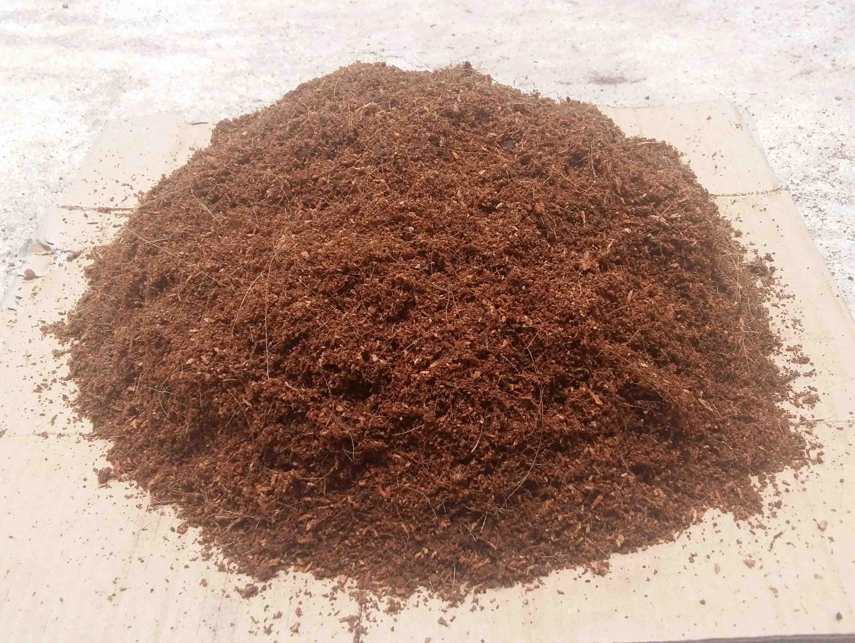 Coir Bulk