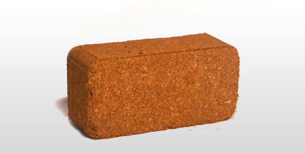 Coco Chip Bricks